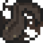 Сом